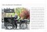Streetfood - Bild 7