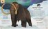 Tiere: 50 Geschichten über Mammut,... - Bild 8