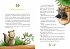 Im Baum-Haus wohnt das Abenteuer -... - Bild 4
