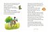 Pony-Freunde im Galopp / Zauberhufe -... - Bild 5