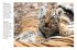 Tigers - Bild 6