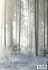 Frost, Winter's Lonely Guardian - Bild 2