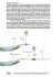 Future Public Spaces - Bild 10