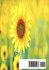 AL SOLE DELL'ETERNO NOSTRO MATTINO - Bild 2
