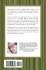 Building Your Dreams - Bild 2