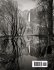 Digital Negatives for palladium and... - Bild 2