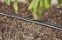 Gardena Micro-Drip-System Rohr 1,6 l/h,... - Bild 2