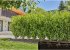 Gardena Micro-Drip-System Rohr 1,6 l/h,... - Bild 3