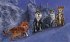 Wand-Adventskalender - Magisches... - Bild 3