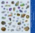 Sticker-Adventskalender - Tiere im... - Bild 2