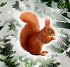 A3-Wand-Adventskalender -... - Bild 3
