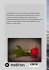 Fotogalerie Fotogalerie