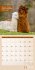 No Drama, Lama! Kalender 2024 - 30x30 - Bild 12