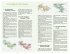 DUMONT Reise-Handbuch Reiseführer... - Bild 2