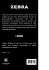 Zebra - Bild 2
