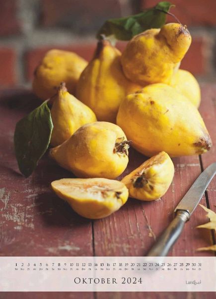 Landlust: Jahreskalender 2024 Wand-Kalender - Poster-Kalender 