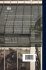 Plant Genetics and new Grape Varieties:... - Bild 2