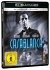 Casablanca - Bild 2