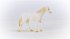 Schleich 13959 - Farm World, Camarillo... - Bild 6