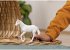 Schleich 13959 - Farm World, Camarillo... - Bild 8