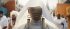 Black Panther: Wakanda Forever - Bild 8