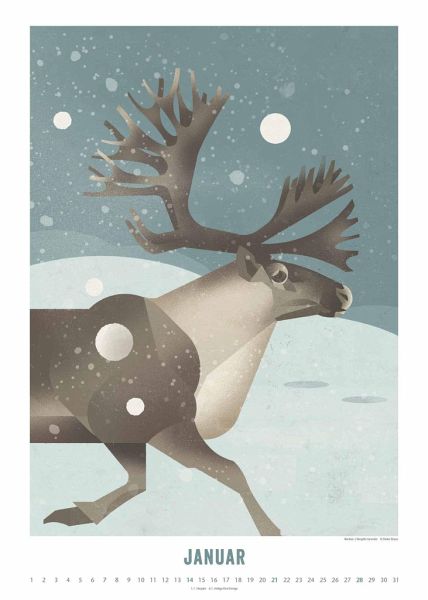 Kal. 2024 Die Welt der Tiere - Kalender bestellen