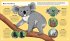 Koala (Young Zoologist) - Bild 2