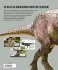 Das ultimative Dinosaurierlexikon: auf... - Bild 3
