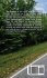 The Journey - Bild 2