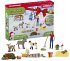 schleich® Farm World 98983... - Bild 2