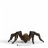Schleich Wizarding World Aragog 13987 - Bild 3