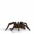 Schleich Wizarding World Aragog 13987 - Bild 4