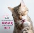 Die ganze Wahrheit über deine Katze - Bild 3