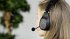 SPEEDLINK SONA Bluetooth Chat Headset... - Bild 6