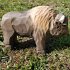 Wudimals A040467 - Bison, Bison,... - Bild 2