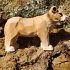 Wudimals A040462 - Löwin, Lioness,... - Bild 2