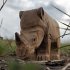 Wudimals A040456 - Nashorn, Rhino,... - Bild 2