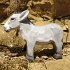 Wudimals A040607 - Esel, Donkey,... - Bild 2