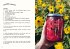 Kombucha do it yourself - Bild 6