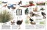Unsere Welt in 1000 Bildern - Bild 5