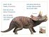 SUPERLESER! Dino in Gefahr - Bild 5