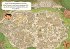 Das Rätsel der Tempelruine / Detektiv... - Bild 7