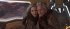 Ant-Man and the Wasp: Quantumania - Bild 3