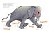 Elefant will durch die Wand - Bild 5