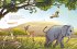 Elefant will durch die Wand - Bild 7