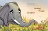 Elefant will durch die Wand - Bild 8