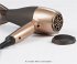 Proficare PC-HT 3010 braun-bronze - Bild 4
