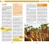 MARCO POLO Reiseführer Ägypten - Bild 8