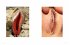 I see Vulvas everywhere - Bild 6