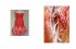 I see Vulvas everywhere - Bild 8